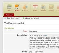 Ipsum