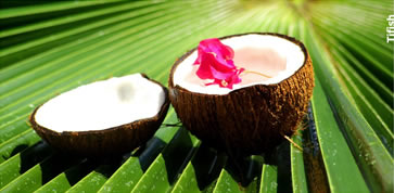 Coconut